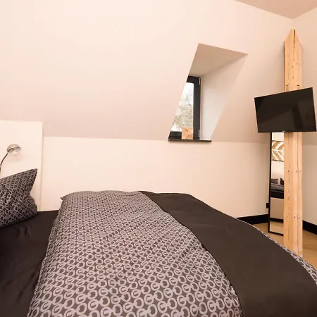Apartment * Stadtvilla * * Aussergewoehnlich * 2 Zimmerwohnung * Zentrumsnah Plauen