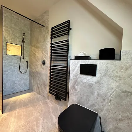 Apartment * Stadtvilla * * Aussergewoehnlich * 2 Zimmerwohnung * Zentrumsnah Plauen