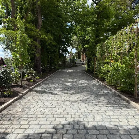 Lejlighed * Stadtvilla * * Aussergewoehnlich * 2 Zimmerwohnung * Zentrumsnah Plauen