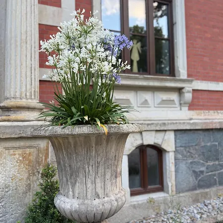 Lägenhet * Stadtvilla * * Aussergewoehnlich * 2 Zimmerwohnung * Zentrumsnah Plauen
